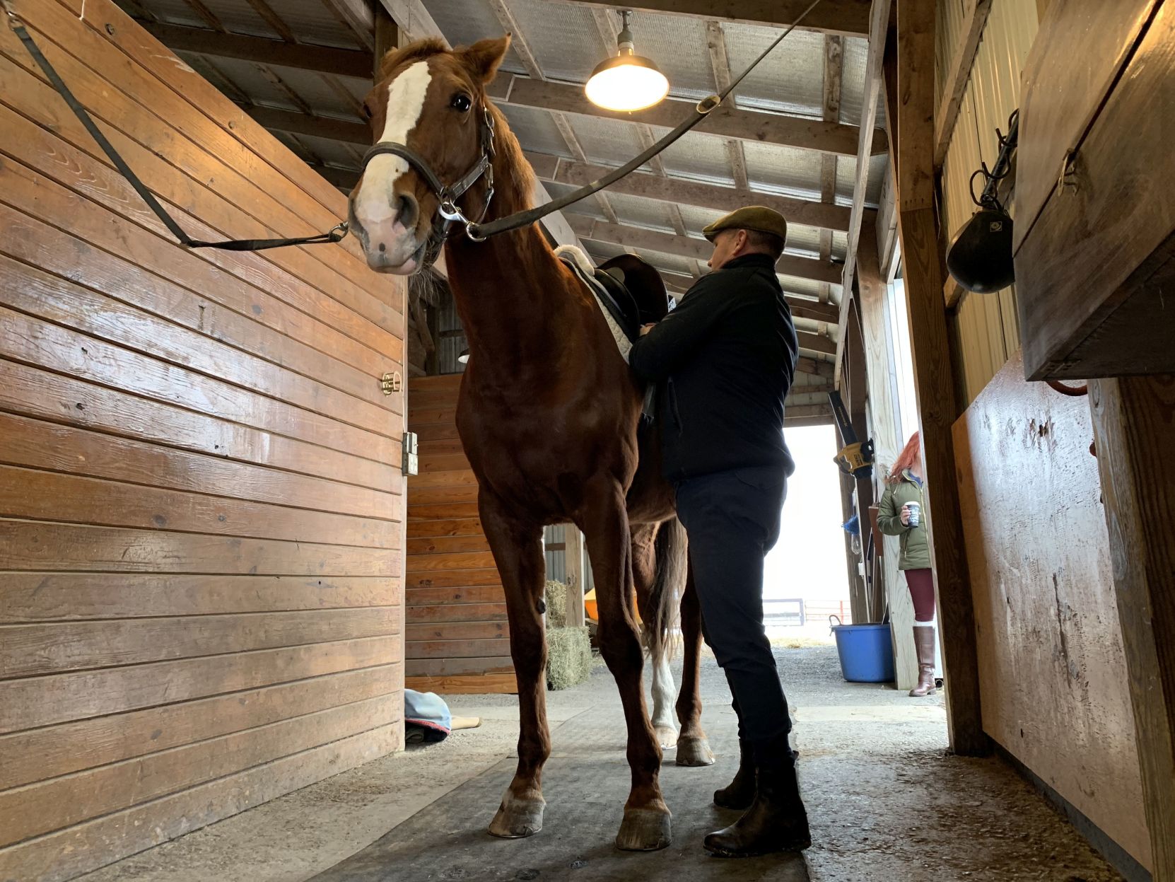 01-23-20 Pennsylvania Warhorse grooming.jpg